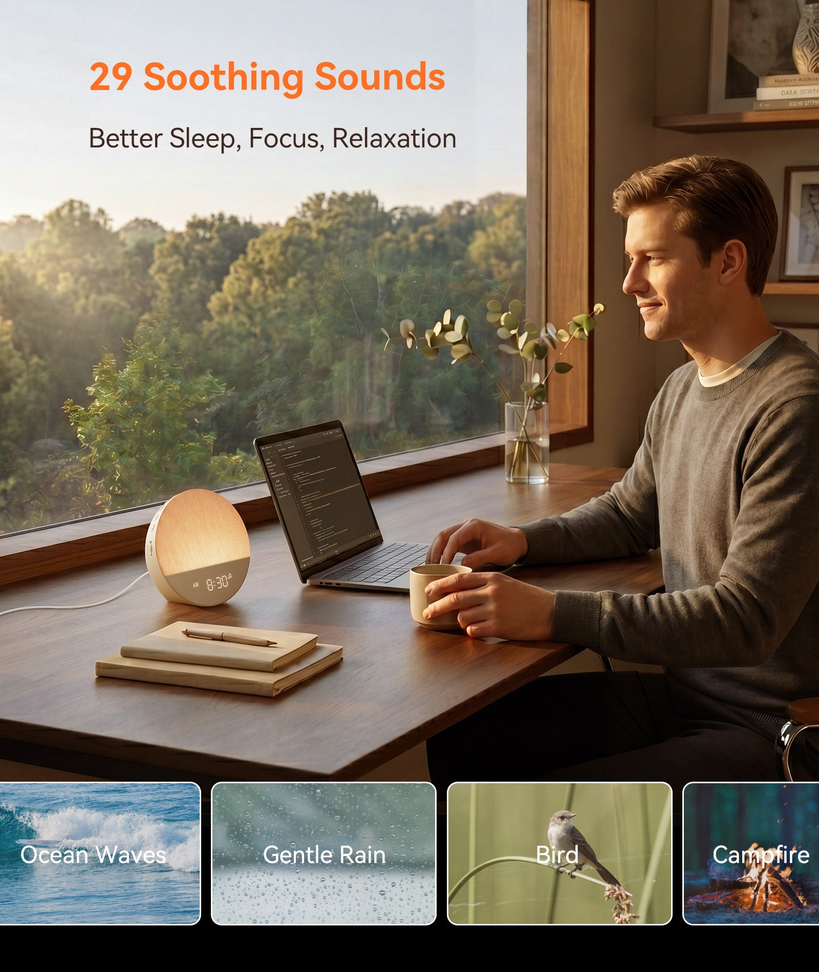 Dreamegg Sunrise Alarm Clock, Natural Wake up Light, White Noise Machine