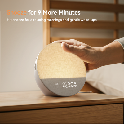Sunrise 1 | Sunrise Alarm & Sleep Sound Machine | Dreamegg Official