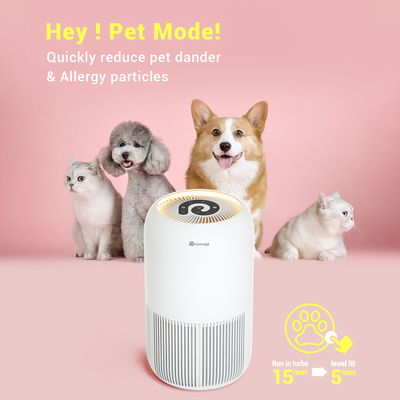 HEPA Air Purifier 4-in-1 for Home
