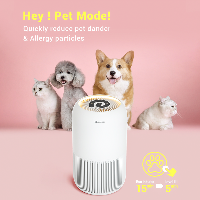 Hepa air filter for cat allergies deals